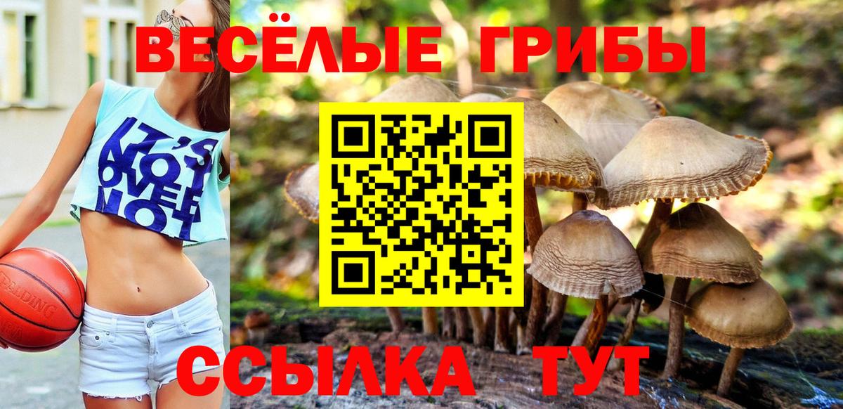 Галлюциногенные грибы Magic Shrooms Чистополь