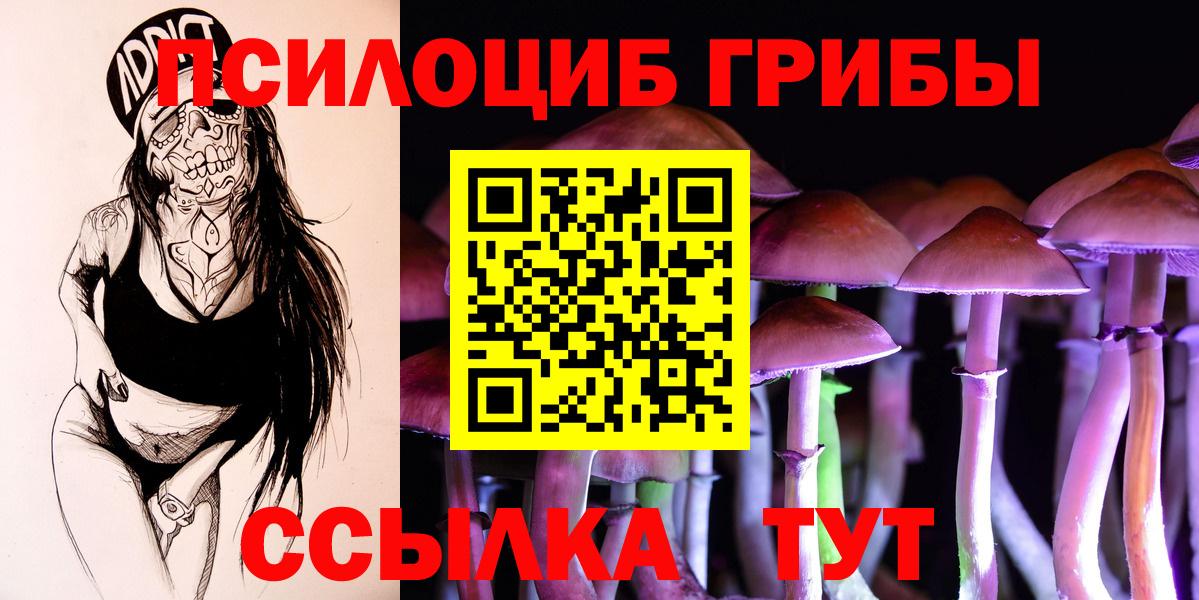 Чистополь  Галлюциногенные грибы GOLDEN TEACHER  Вход с VPN 